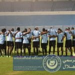 received_1728393110541311